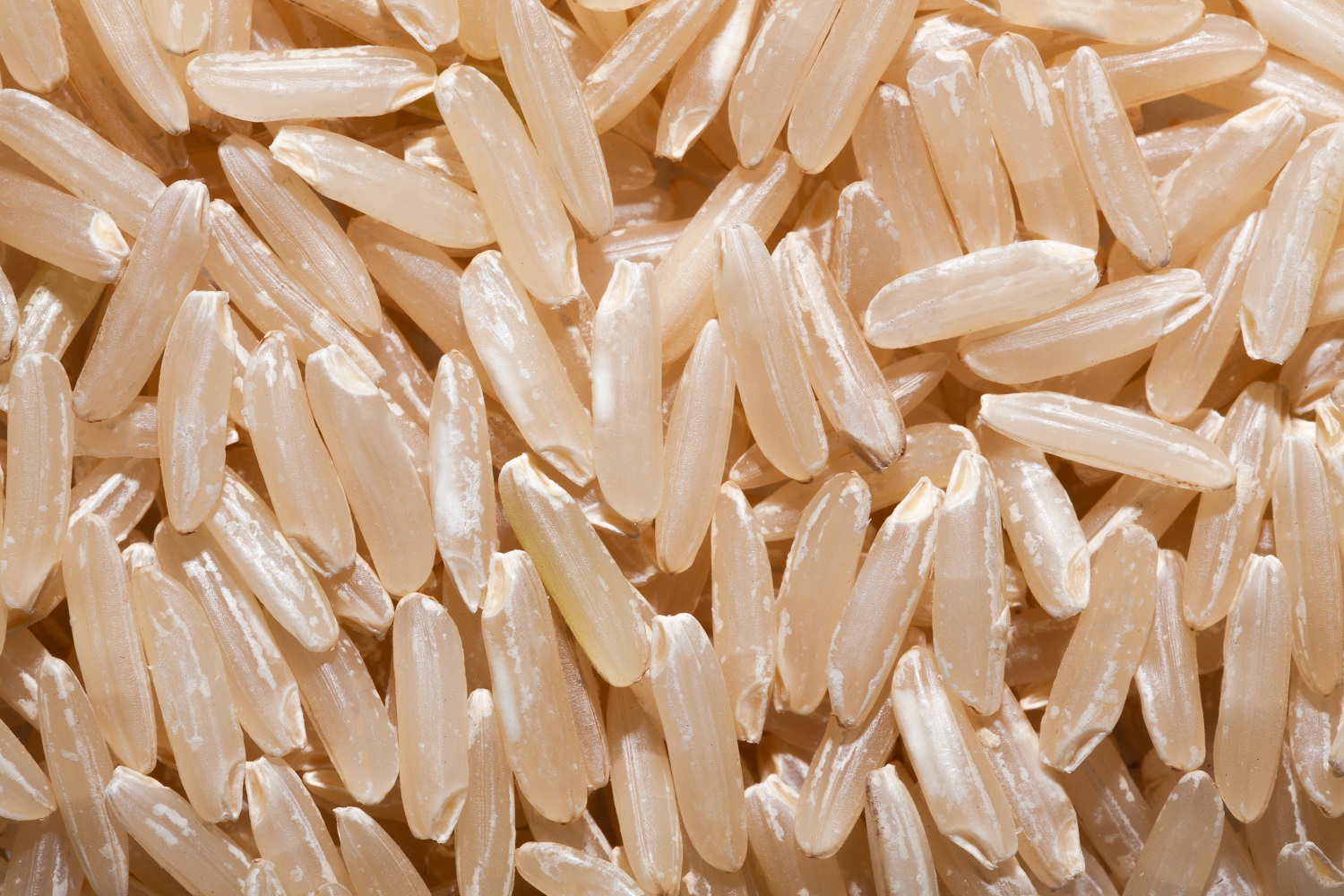 Thai Hom Mali Jasmine Brown Rice Agricolecorp