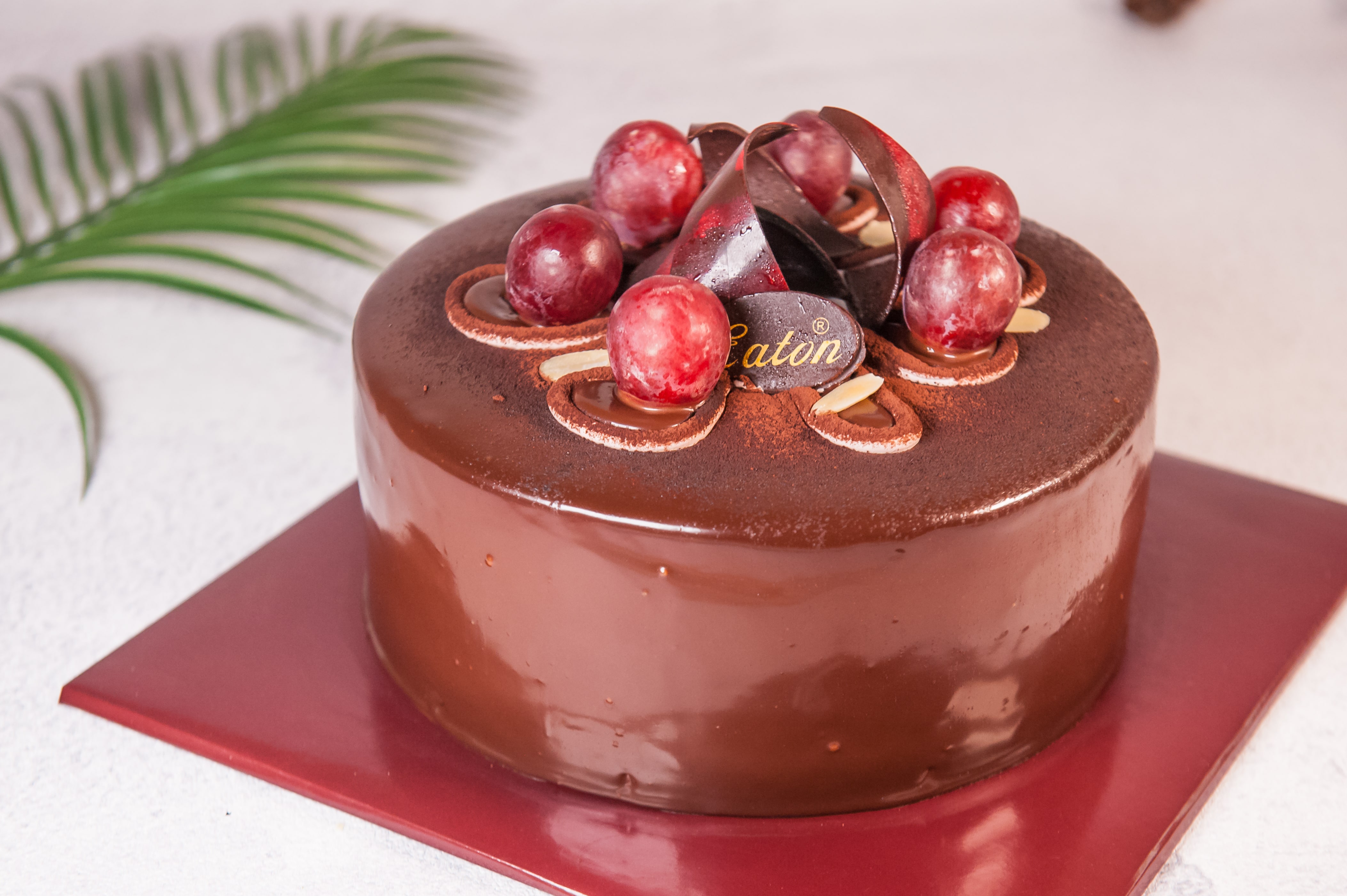 Black Forest Supreme / Kue Ulang Tahun by Eaton Indonesia Eatonindonesia