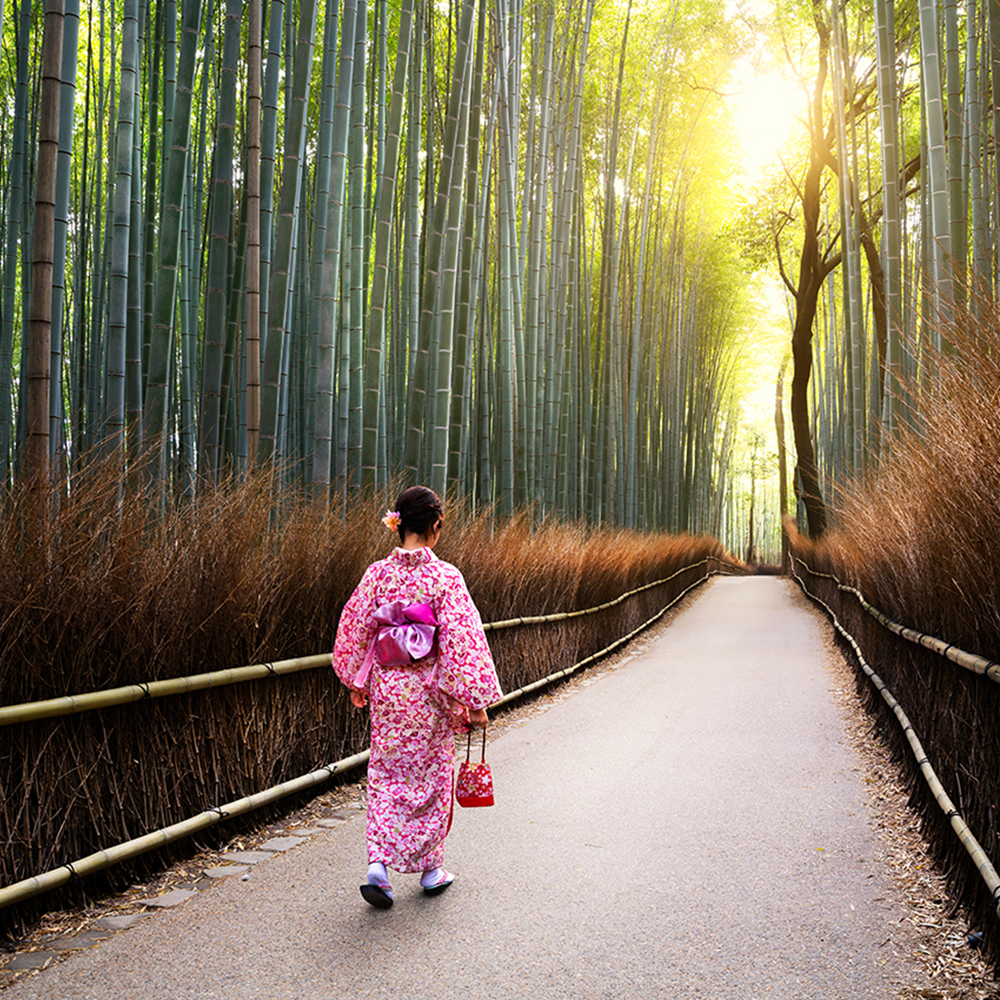 Arashiyama Bamboo Forest in Sagano, Japan Genci