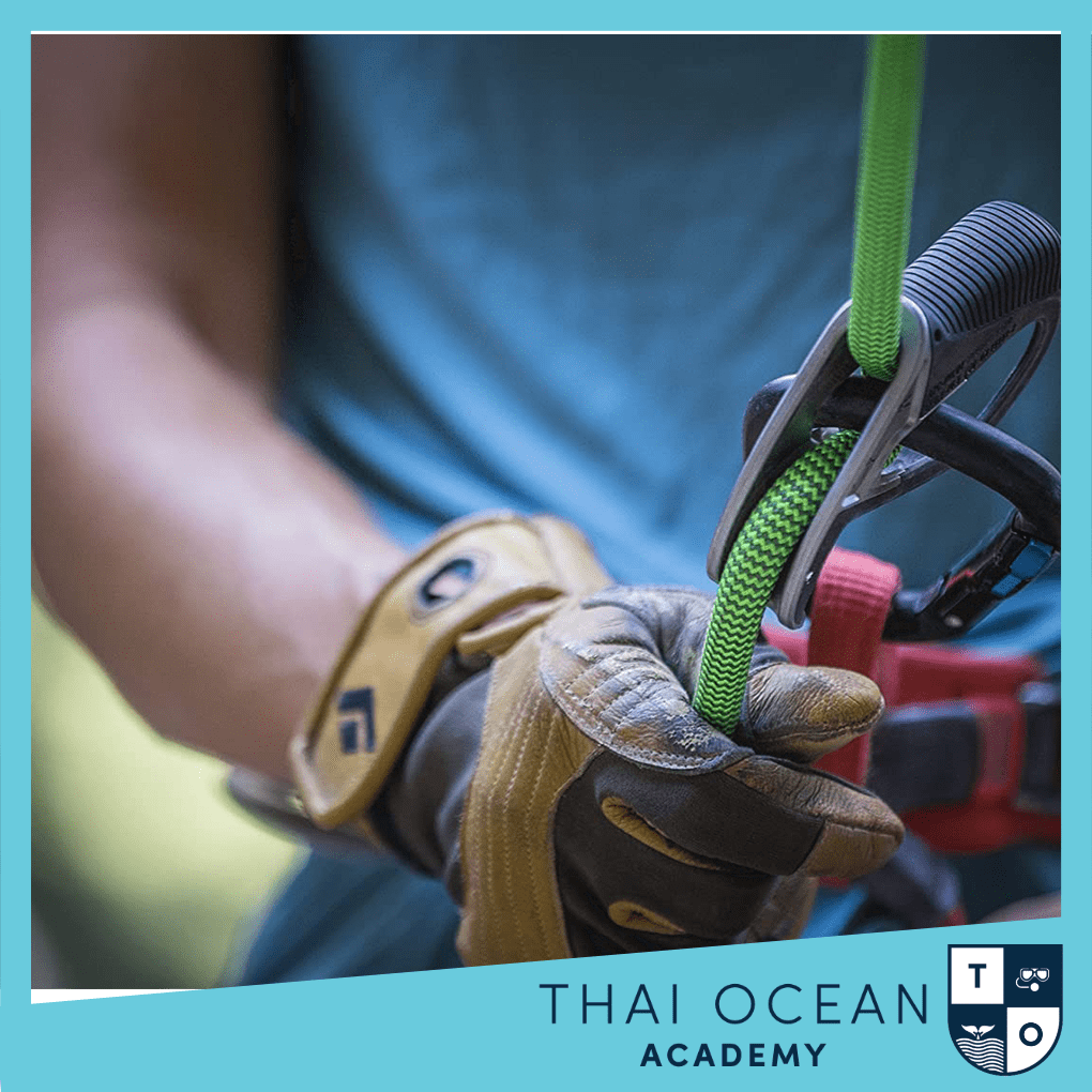 Black Diamond Transition Gloves thaioceanacademy