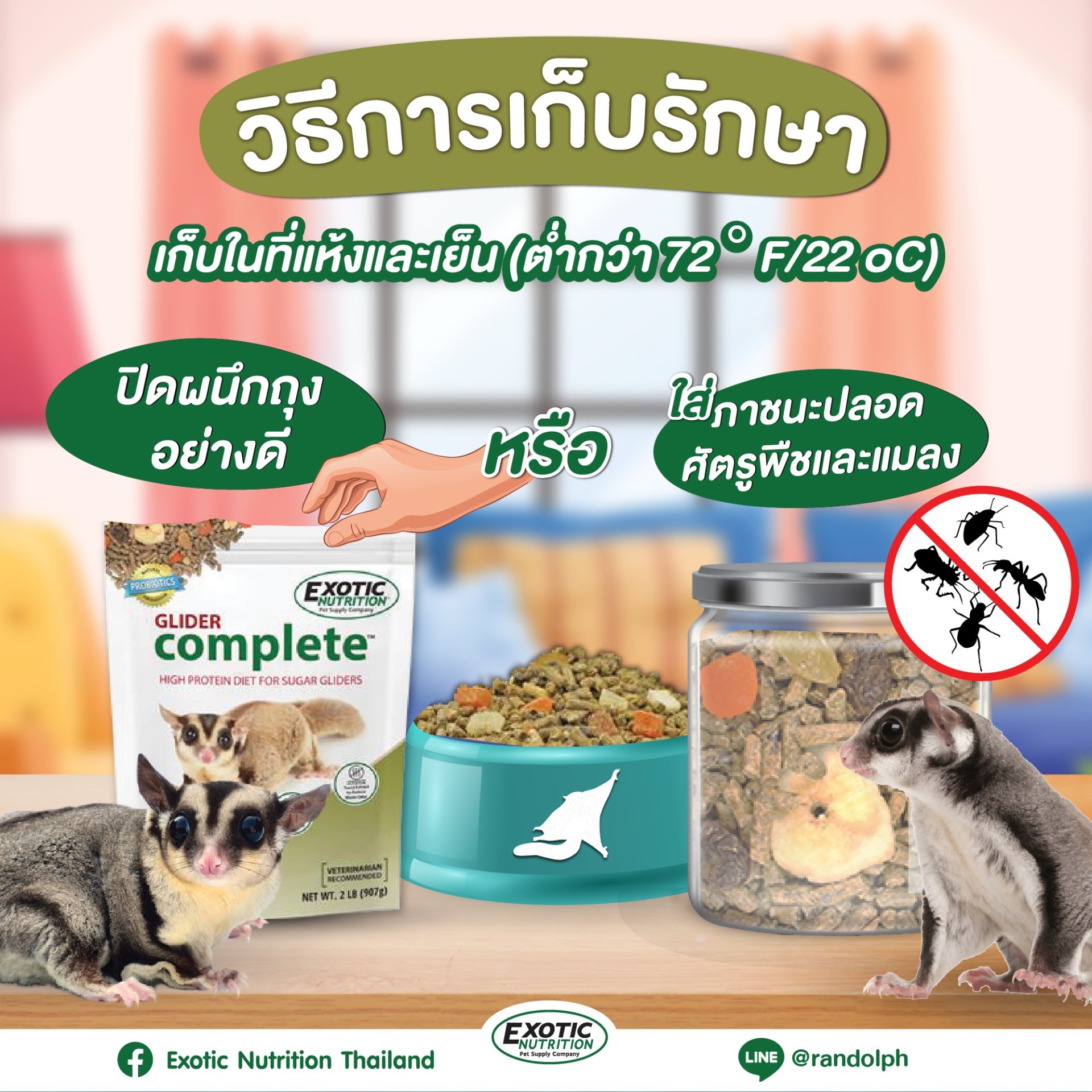 แรนดอล์ฟExotic Nutrition Glider Complete อาหารชูก้าไรเดอร์สูตรสมบูรณ์