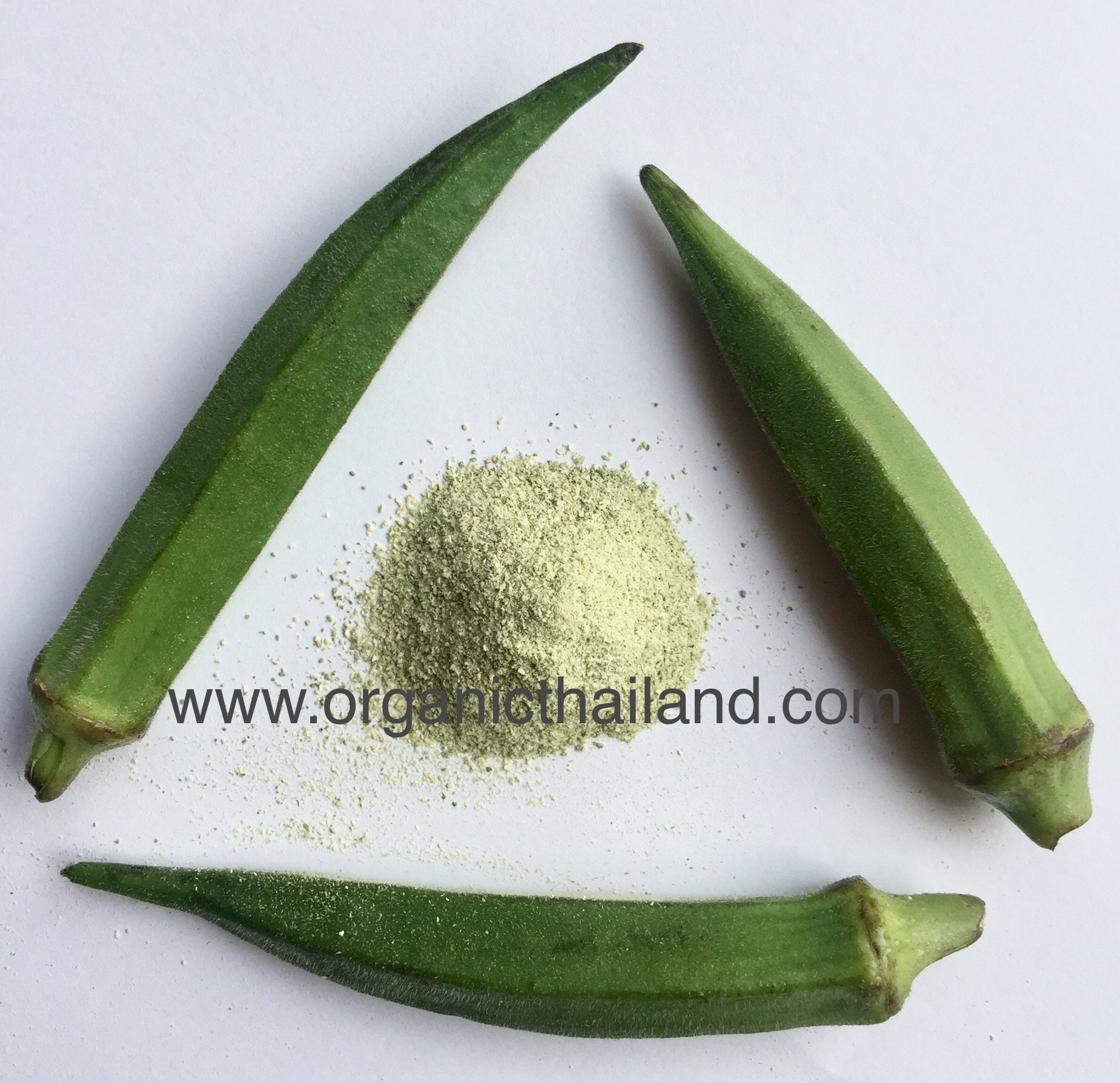 Okra Powder 100g organicthailand
