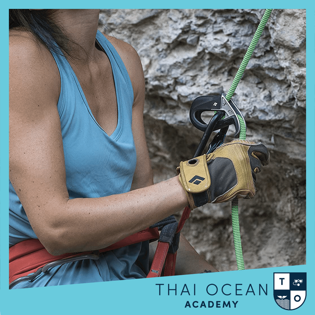 Black Diamond Transition Gloves Thai Ocean Academy thaioceanacademy