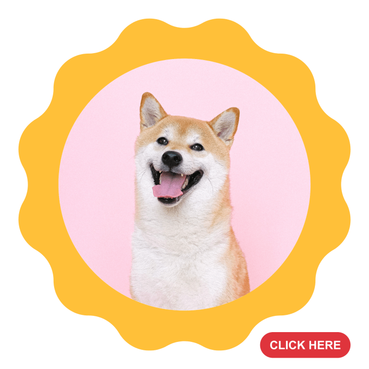 Petsister Thailand Online Pet Food, Pet Supplies Store