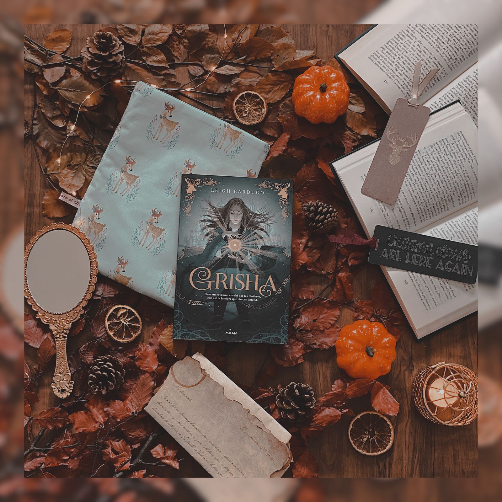 Les Orphelins du Royaume (Grisha, Tome 1) Leigh Bardugo