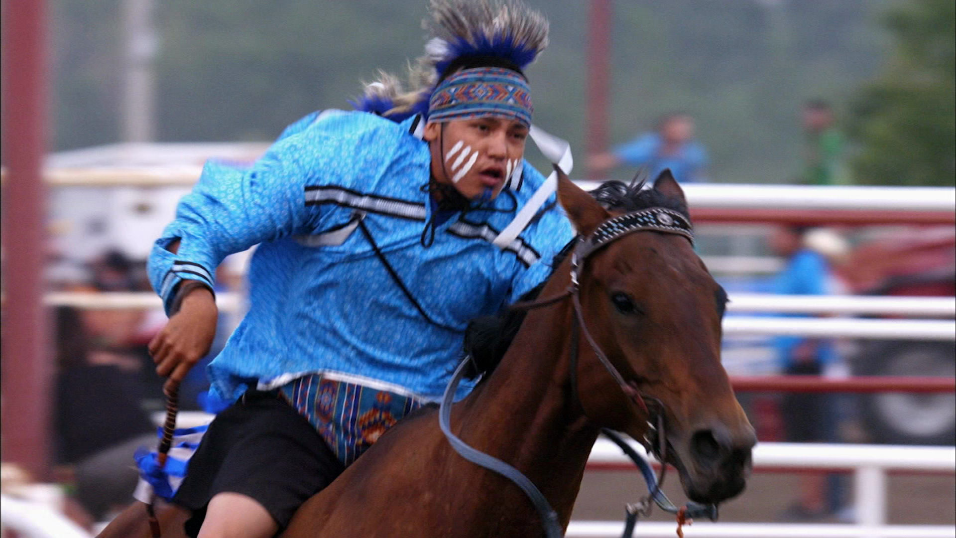 Maintaining Traditions The Blackfoot Confederacy and Their Horses