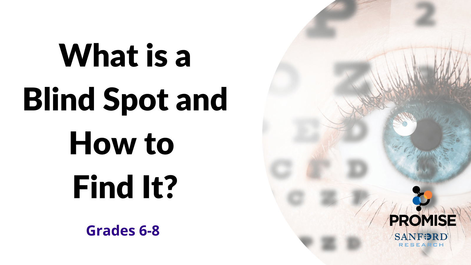 What is a Blind Spot and How to Find It? (Lesson Plan) | Sanford