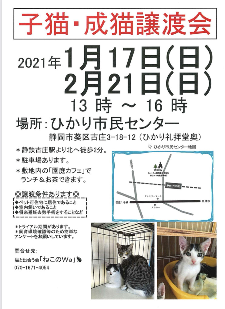 「ねこのWa猫譲渡会 静岡市葵区」（ねこのWa（けむり）のイベント 11503） ペットのおうち【月間利用者150万人！】