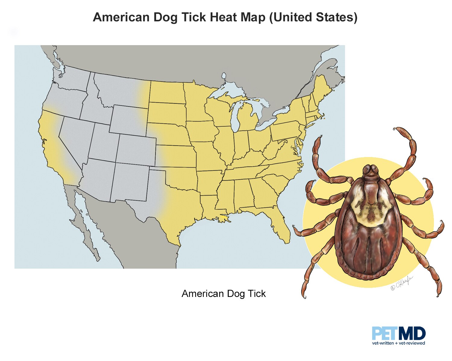 Do Dogs Need Flea And Tick Prevention In Winter