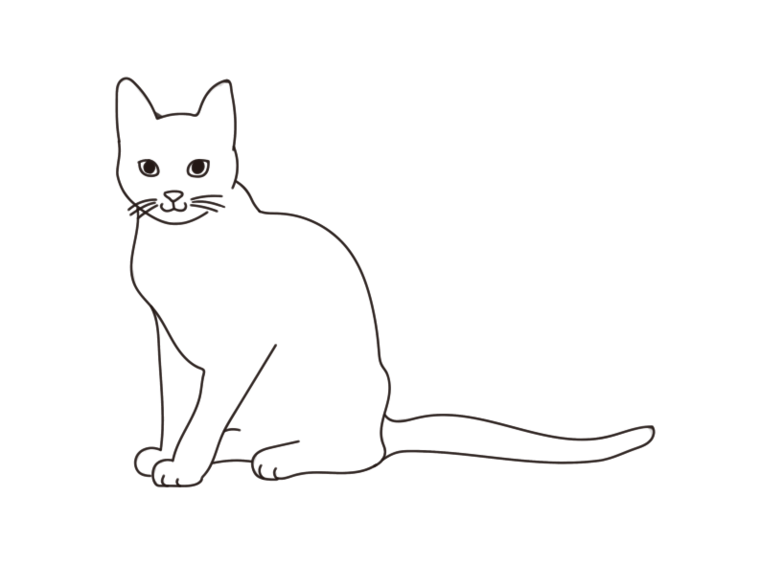 第４回】簡単に描ける猫の描き方 │ 超初心者でも描けるかわいいイラスト講座 猫の描き方をプロが解説｜骨格を意識したデッサン手法から、顔の特徴を出すコツまで | ペトコト