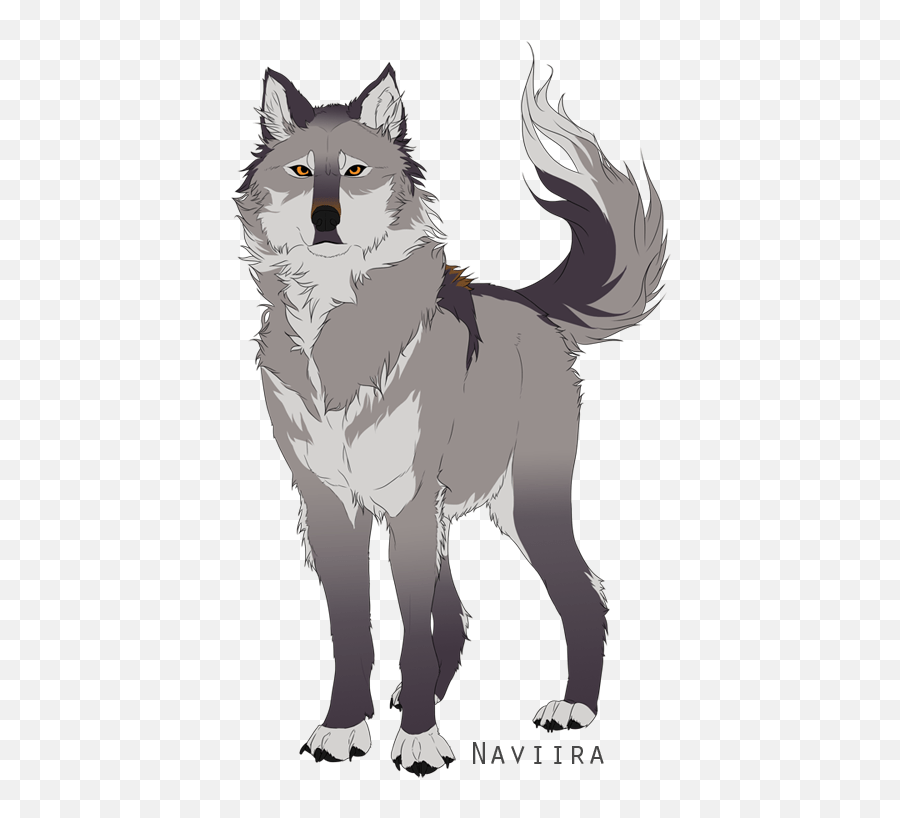 Anime Black And White Wolf