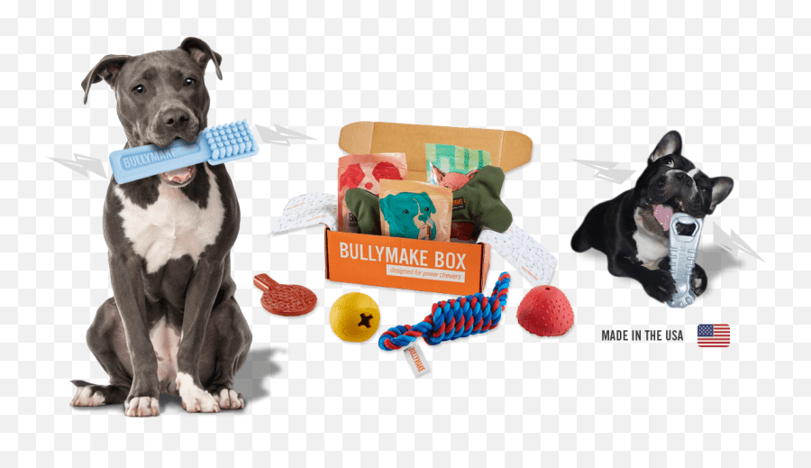 Bullymake Box A Dog Subscription Box For Power Chewers Bully Max Toys