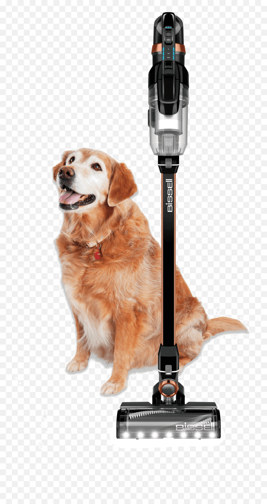 Bissell Iconpet Pro Cordless Vacuum Hard Floor Bissell Icon Pet Pro