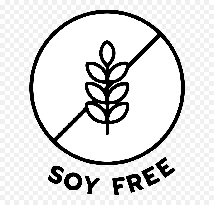 Lower Sugar Juice Cleanse Detox Cleanse Raw Generation Gluten Free