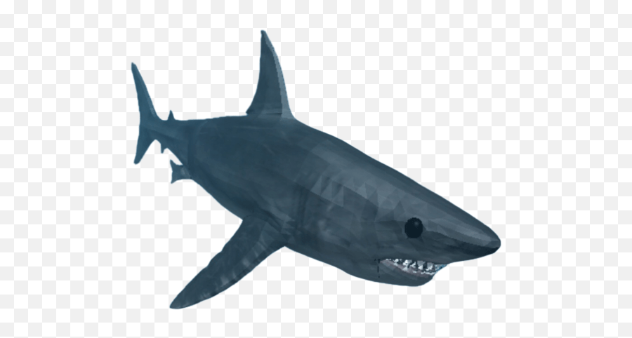 Roblox Codes Shark Bite shark decal roblox