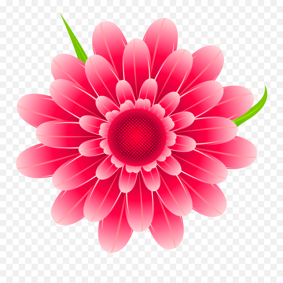 Free Flower Clipart Background