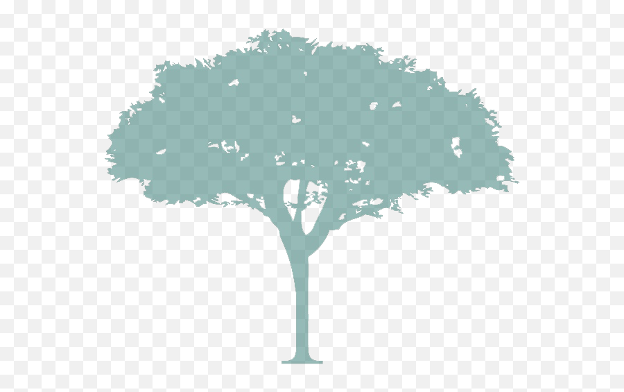 Childrenu0027s Charities Brookwood Florida St Petersburg Fl Lovely