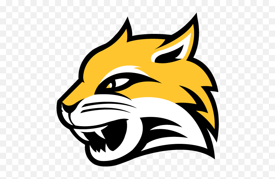 Imleagues Wayne State College Logo Png,Wayne State Logo free