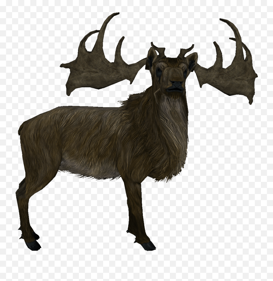 Elk Skyrim Deer Png,Elk Png free transparent png images