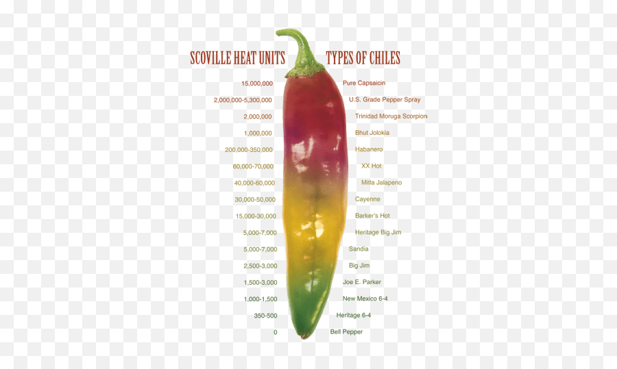 Download Scoville Scale Green Chilli Scoville Scale Hatch Chile Png