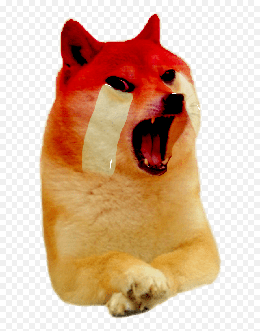 15 Crying Doge Meme Png Woolseygirls Meme