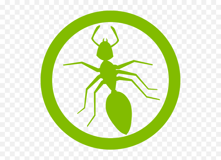 World Pest Control Kansas Pest Control Company Png,Ant Icon free