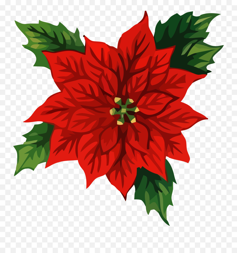 Christmas Front Flower Clipart Png U2013 Christmas