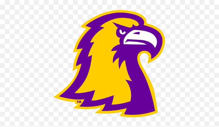 Tennessee Tech Golden Eagles Alternate Tennessee Technological