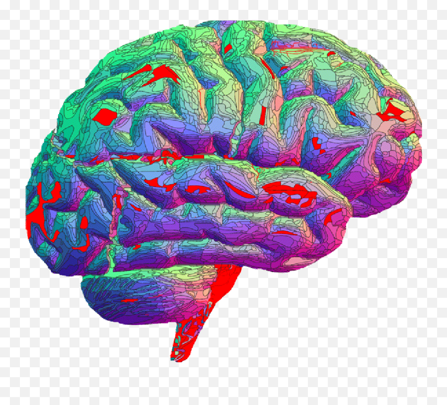 Animated Brain Gif Clipart Best Brain Gif Transparent Png,Brain