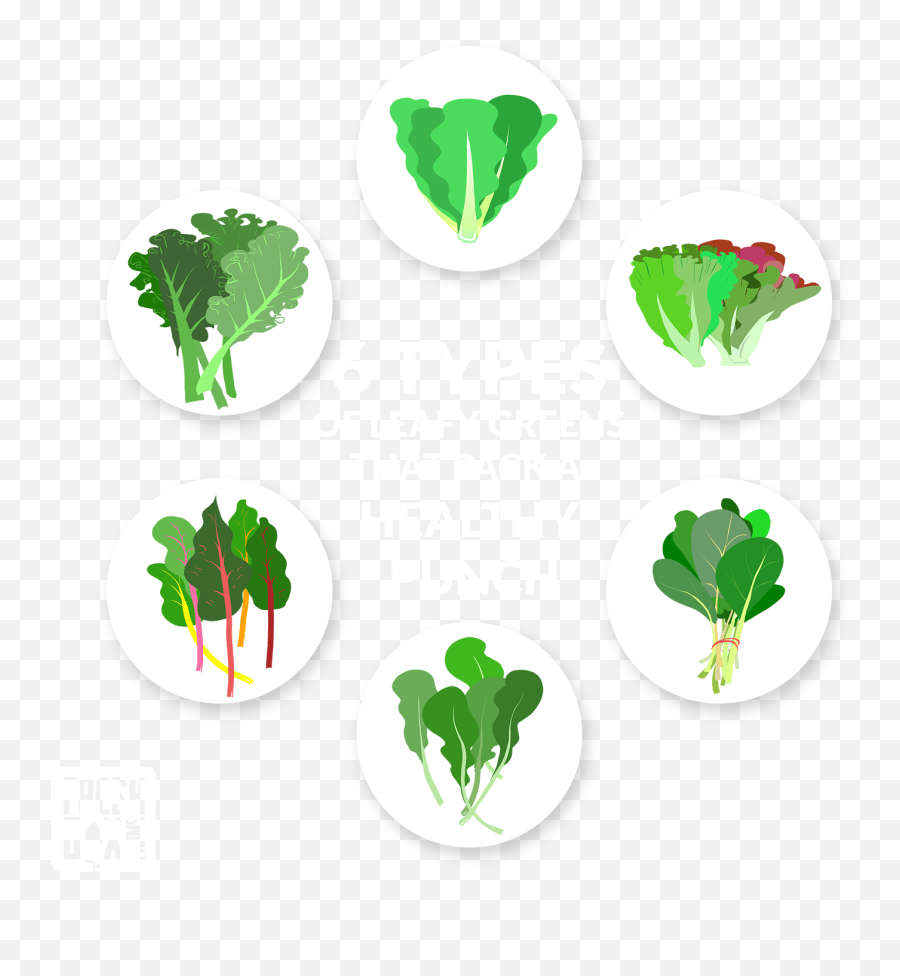 Green Leafy Vegetables Clipart