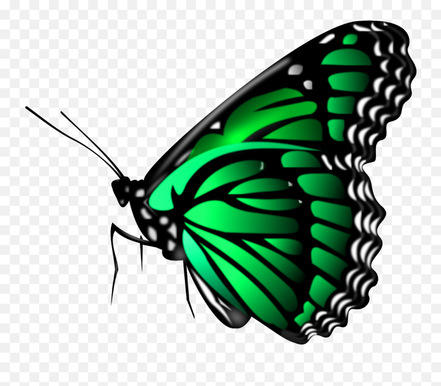 Part 4 New 1000 Png Zip File Download Picsart Png Download,All Png