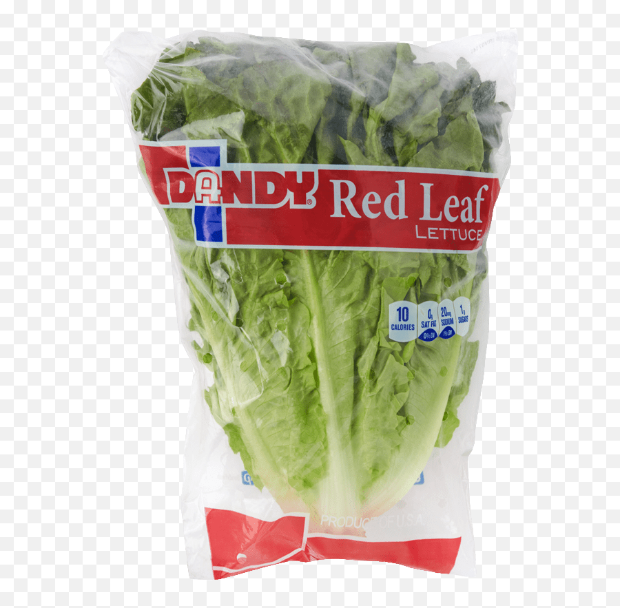 Red Leaf Lettuce Superfood Png,Lettuce Transparent free transparent