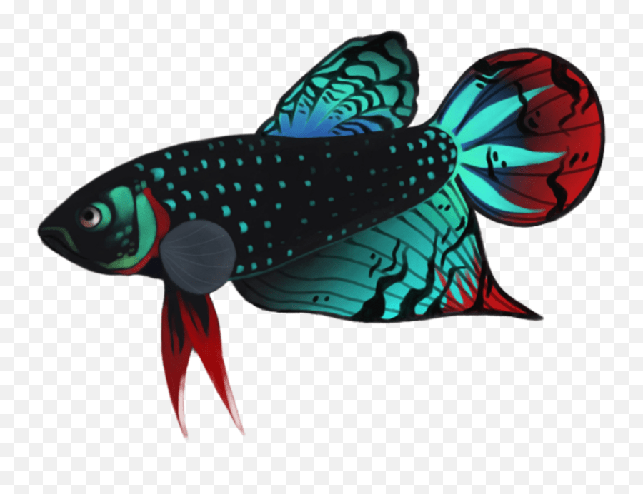 24+ Gambar Png Ikan Koleksi Rial