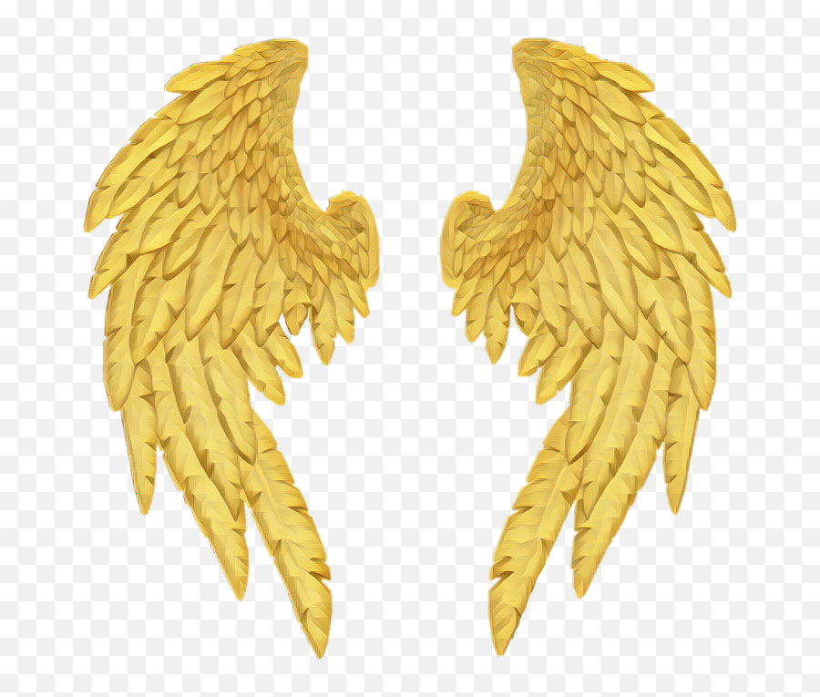 Transparent Background Gold Angel Wings Png annuitycontract