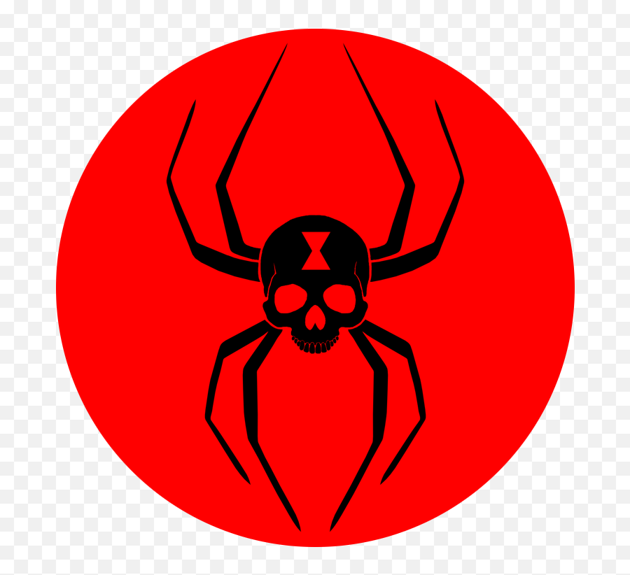 Shopify Stores That Launched Widow Spiders Png,Kingdom Come