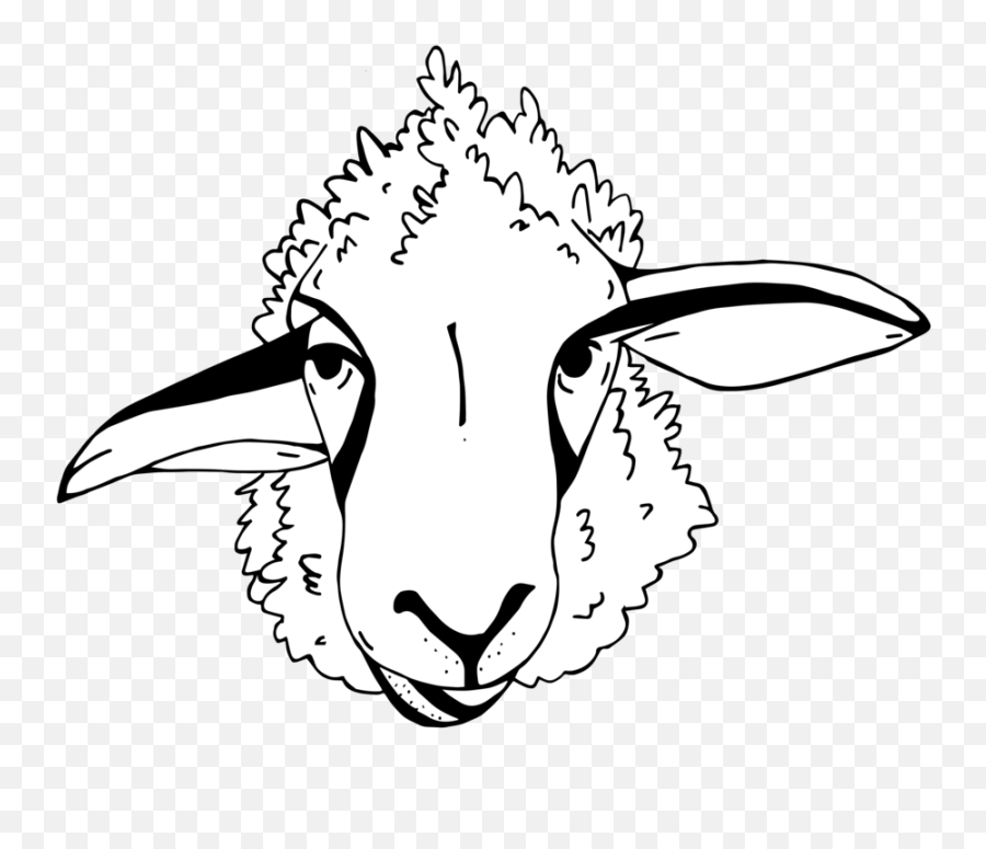 Lillooet Sheep U0026 Cheesery Png Transparent free transparent png