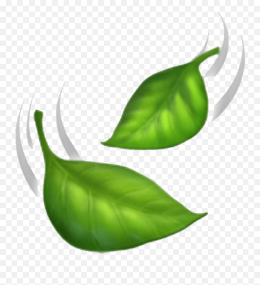 Leaves Emoji Clipart Iphone Leaf Emoji Png,Leaf Emoji Png free