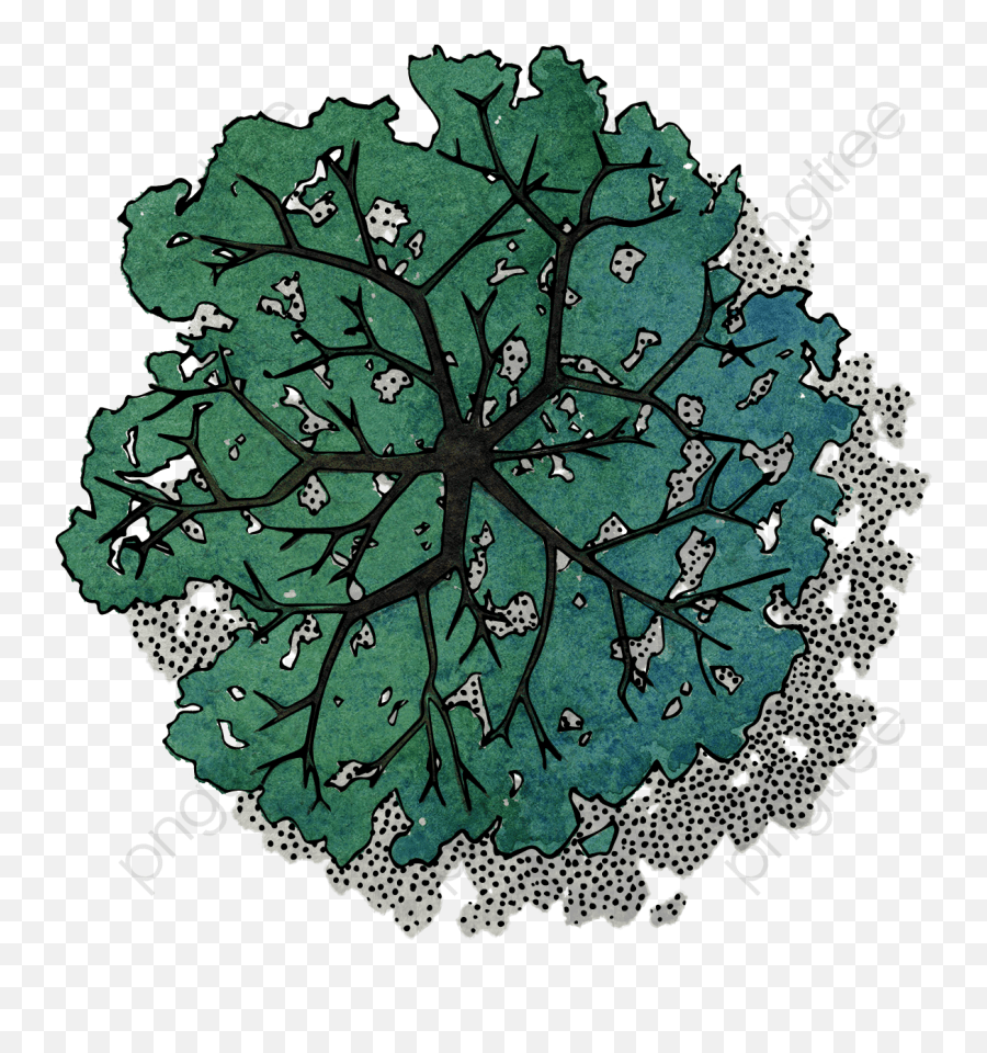 Download Free Png Green Tree Top View Transparent Tree Birds Eye View