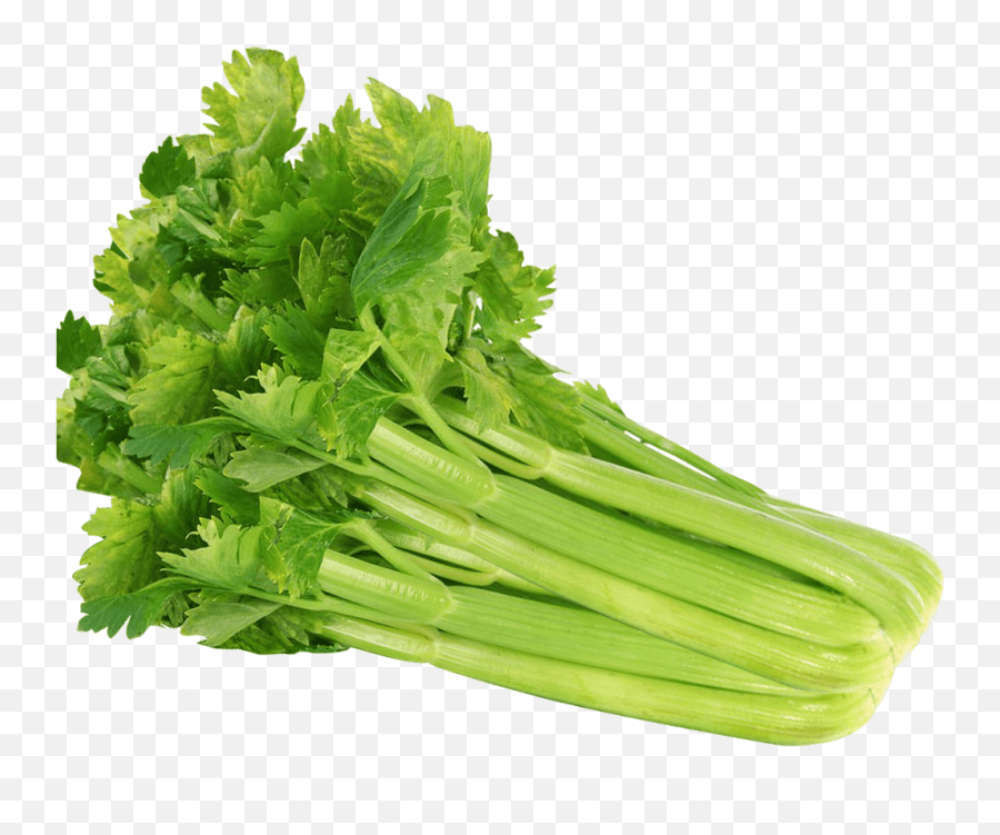 Celery Seeds 100 Vegetable Transparent Background Celery Png,Celery