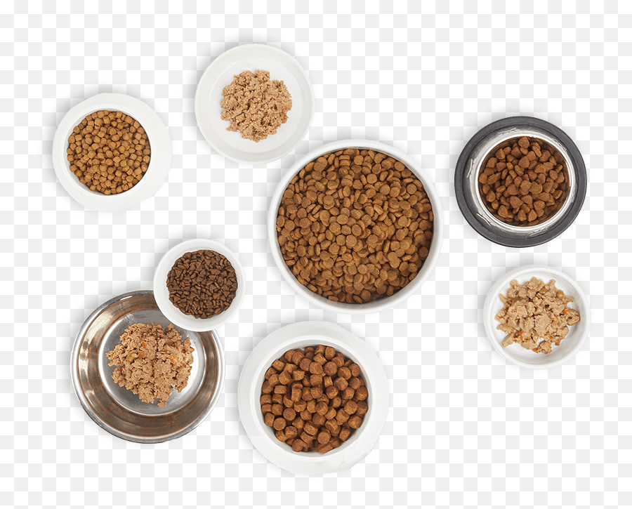 Right Food Finder Find The Best Dog For Your Pup Petco Dog Food Png,Icon Pop Quiz Foods free