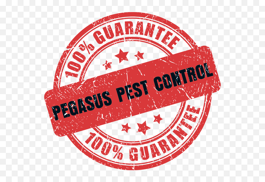 Pest Control Company In Elk Grove Ca Language Png,Red Pegasus Logo