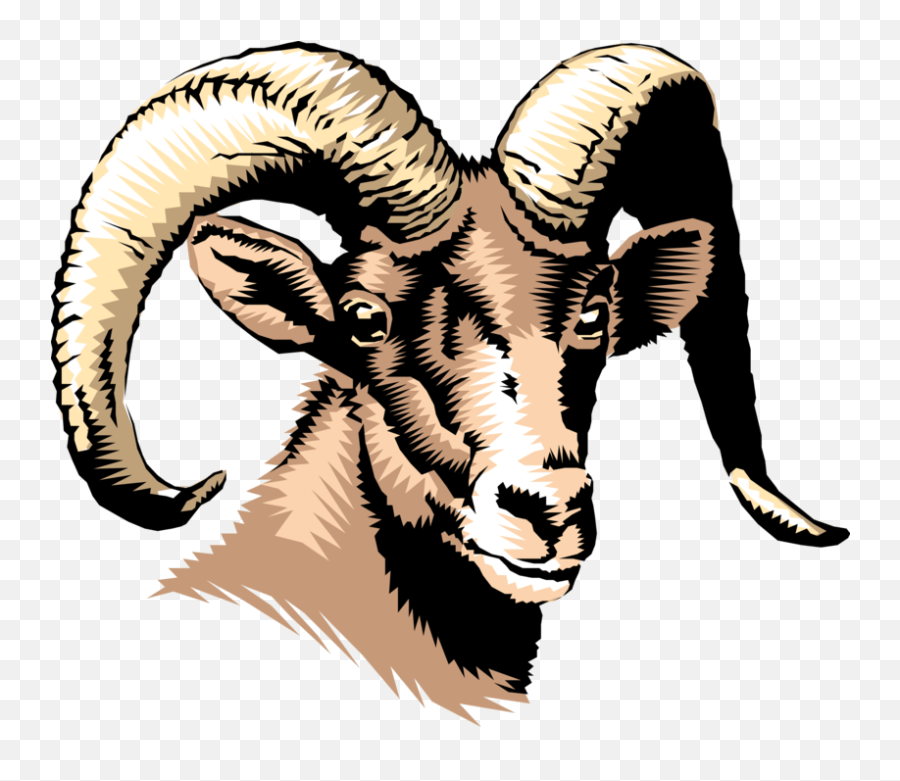 Horns Vector Ram Horn Clipart Elbert County Middle School Png,Goat