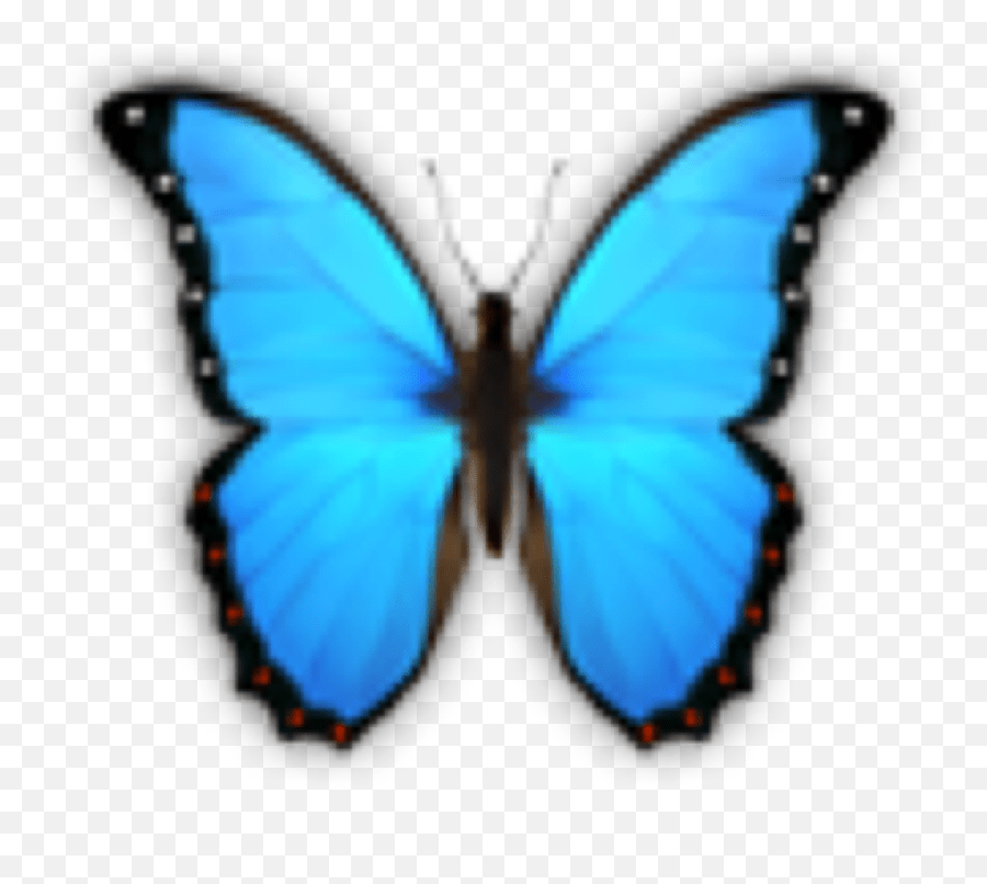 Butterfly Butterflies Emoji Sticker By Sakura Cher Png Emojis
