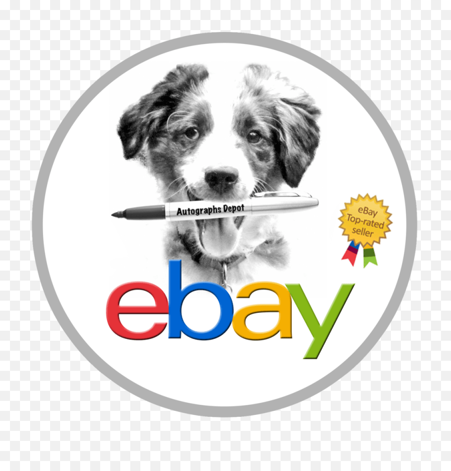 Download Ebay Logo Ebay Top Rated Seller Full Size Png Ebay Top Rated