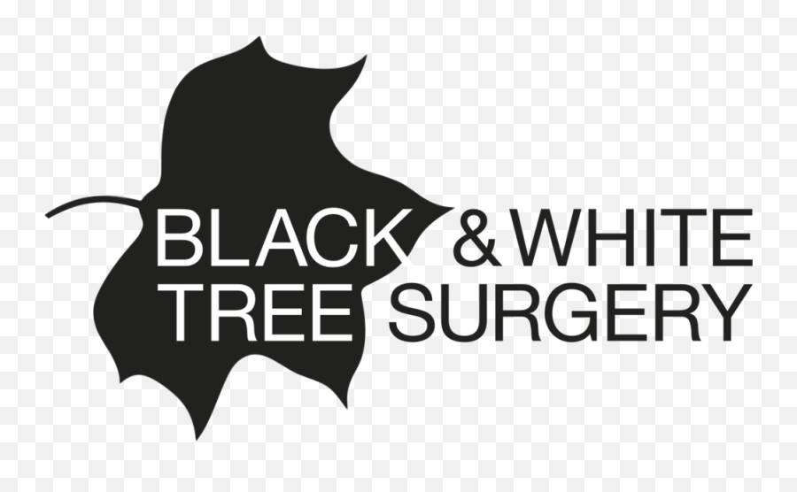 Black U0026 White Tree Surgery Png free transparent png images