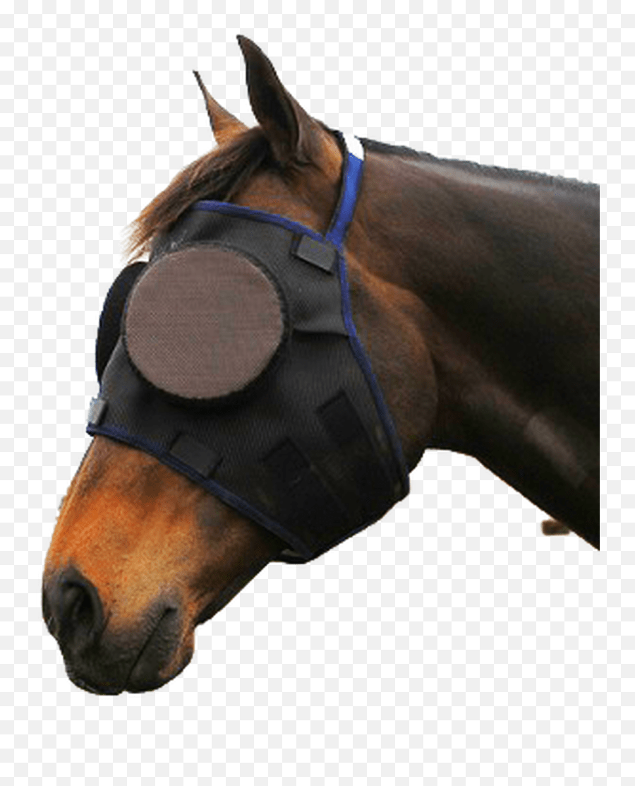 Guardian Masks Accessories Horse Eye Protection Mask Png,Horse Mask