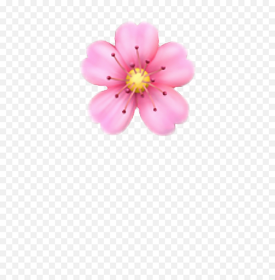 Pink Flower Emoji Png Ios Flower Emoji Transparent,Flower Emoji Png