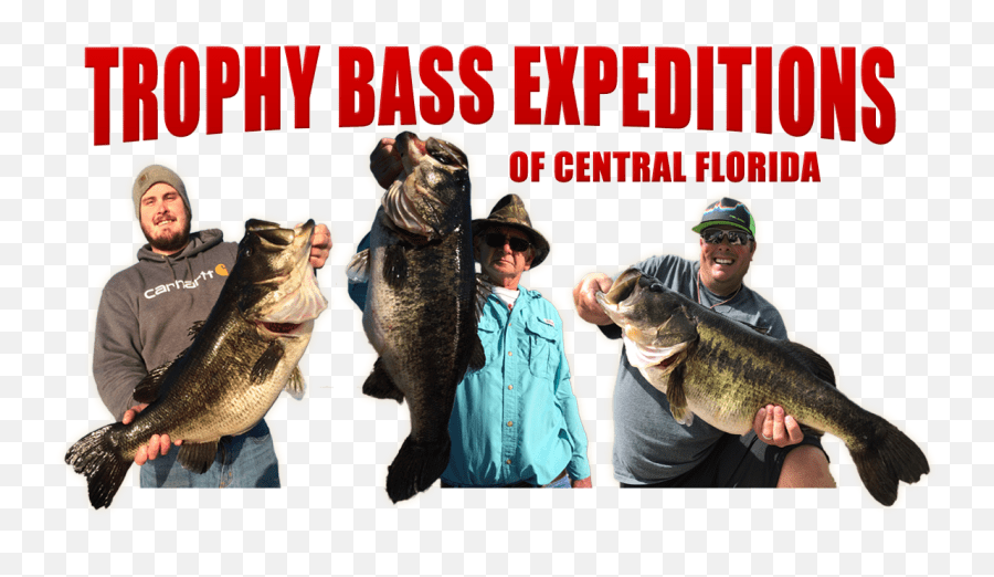 Gainesville Florida Bass Fishing Guide And Charter Service