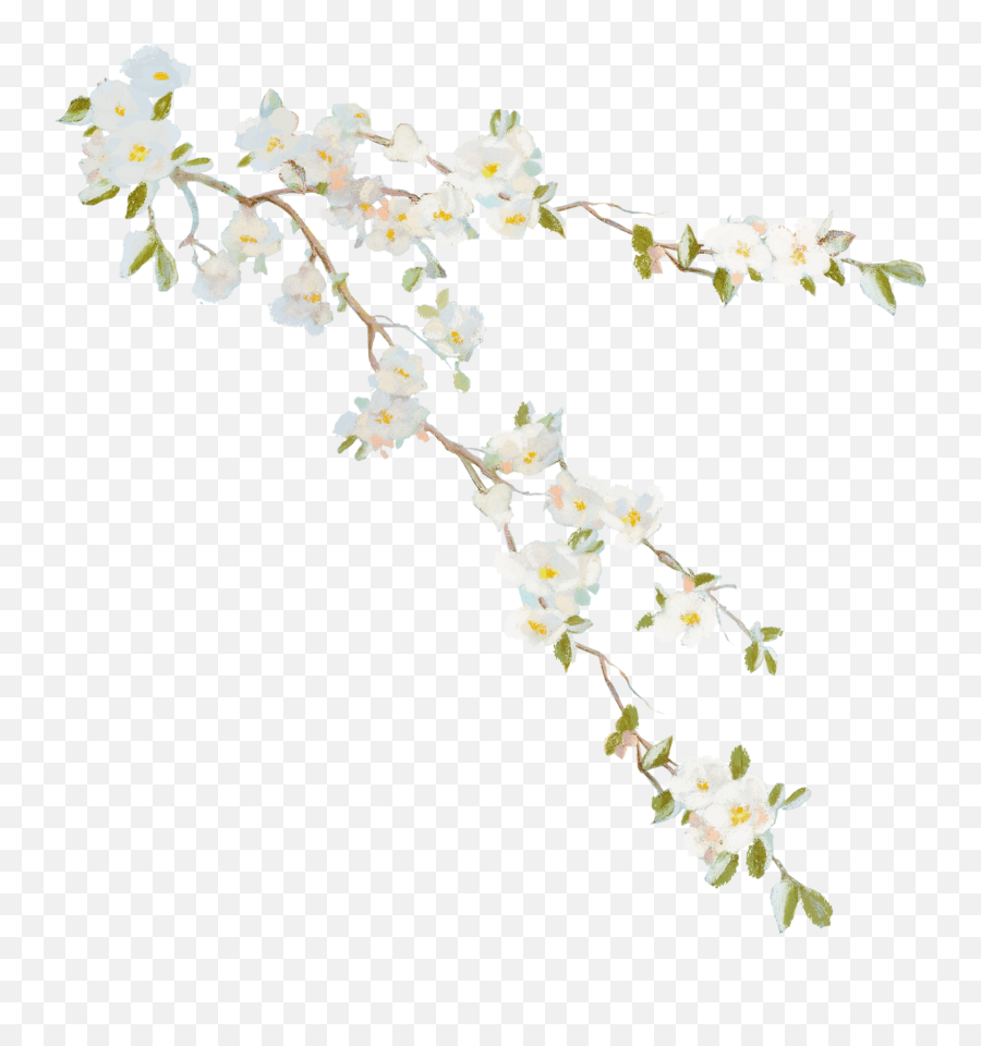 Flower Vine Desktop Wallpaper Clip Art Vines Png Download Flower Vine