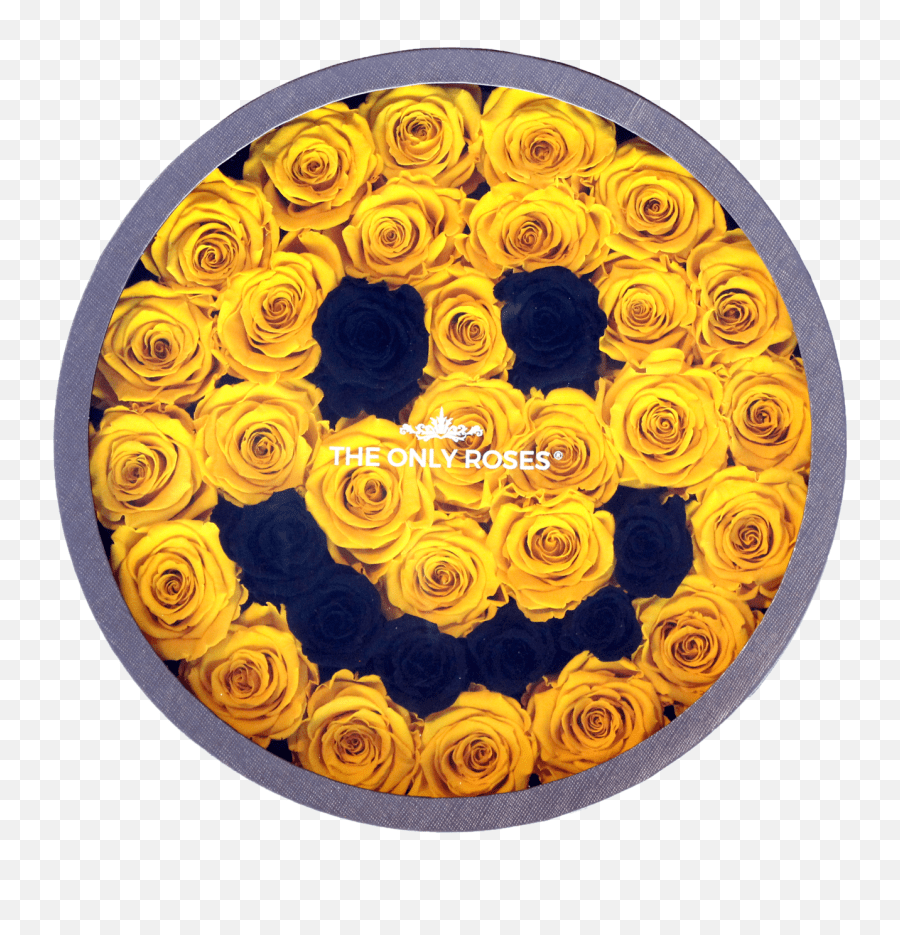 Smiley Face Emoji Large Round Classic Grey Box American Museum Of Natural History Png,Happy